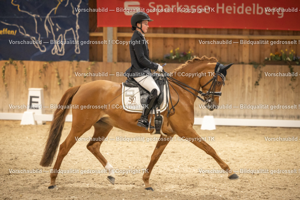 _D5A3753 | Emotionale Pferde- & People-Fotografie rund um Heidelberg, Leimen & Umgebung. Natürliche Fotos von Pferd, Mensch & Familie. Jetzt Termin sichern!