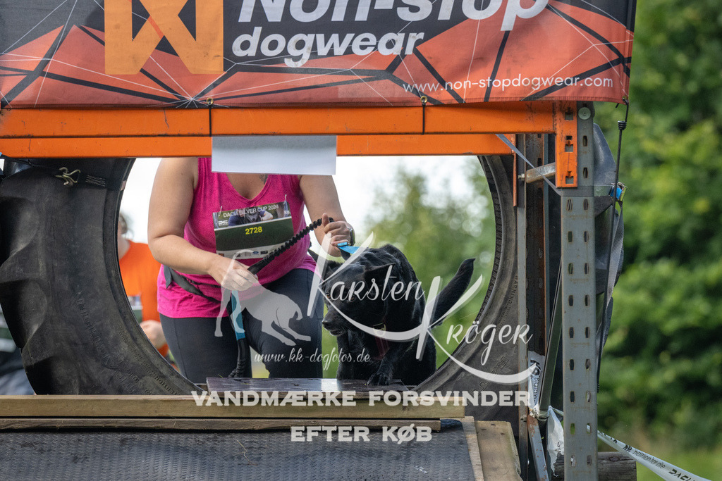 1551_ZZ94594 | kk-dogfotos