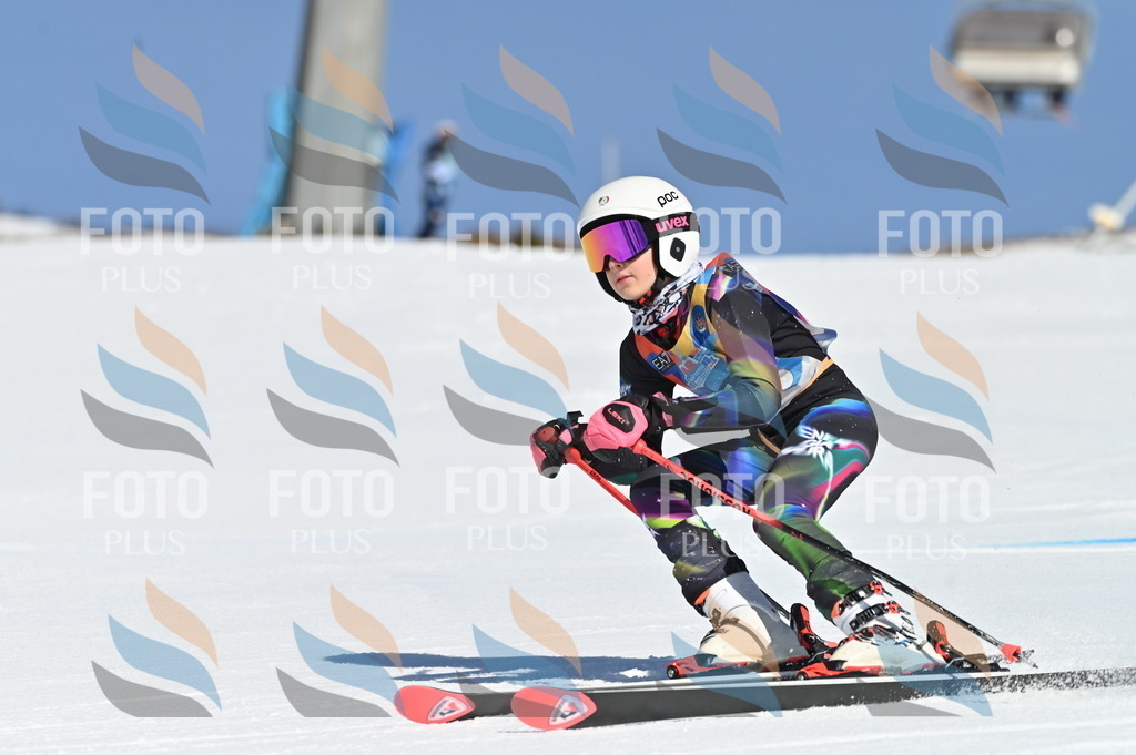 BGV_7804 | holidayphoto