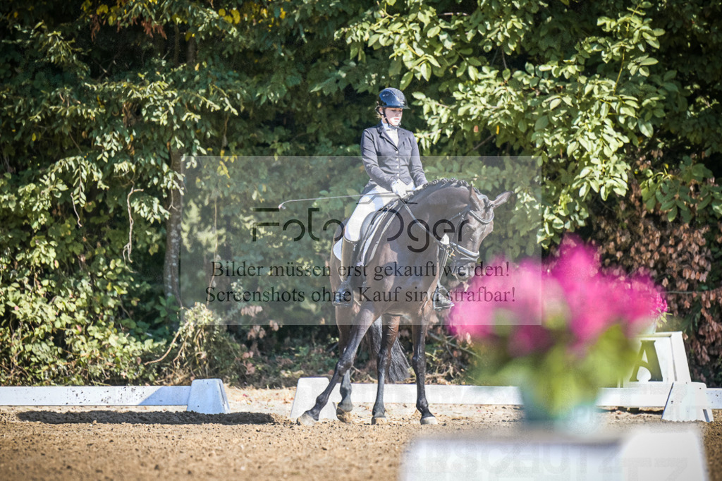 DOS_2637 | Entdecke hochwertige Reitturnierfotos von Foto Oger. Professionell, emotional und authentisch – jetzt Lieblingsmomente im Shop bestellen.Deutschlandweite Turnierfotografie. - Realisiert mit Pictrs.com