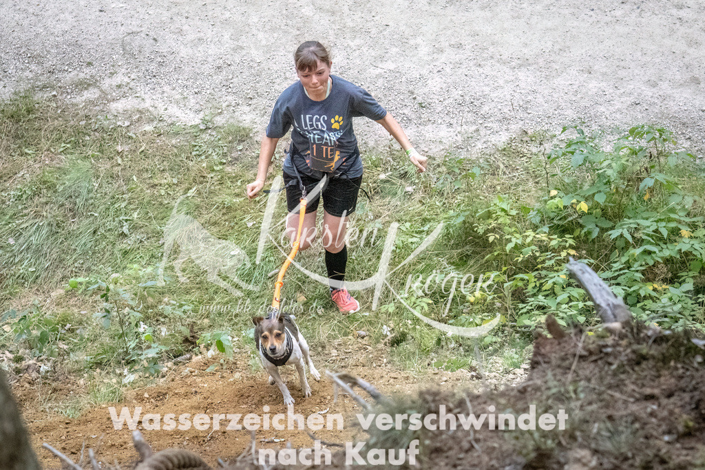 0952_ZZ93662-DeNoiseAI-low-light | kk-dogfotos