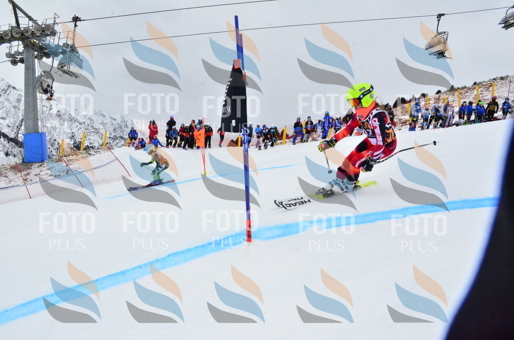 _ELE3125 | holidayphoto