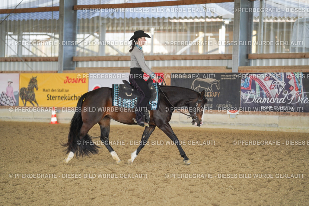 DSC09923 | Pferdegrafie