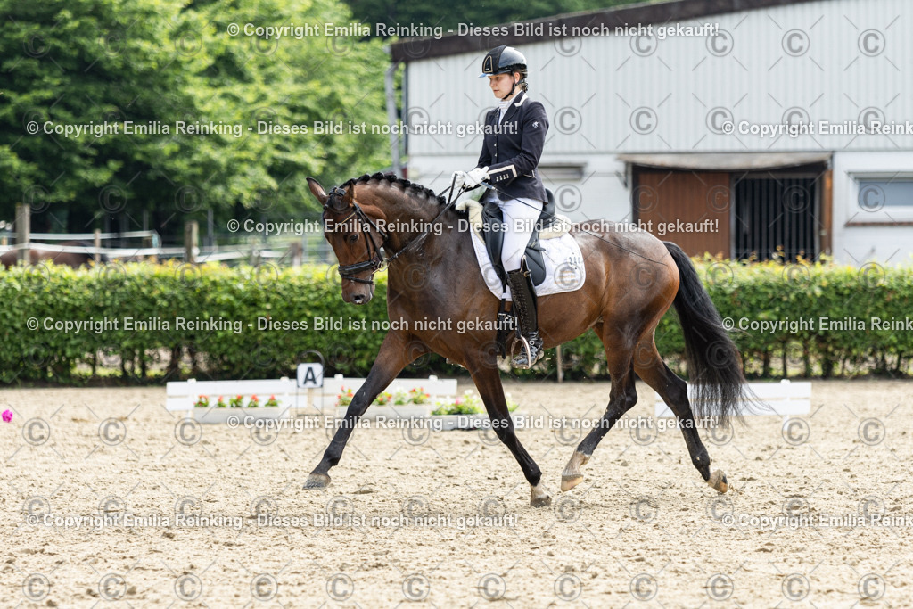 CL5A5462 | Emilia Reinking Fotografie - Realisiert mit Pictrs.com