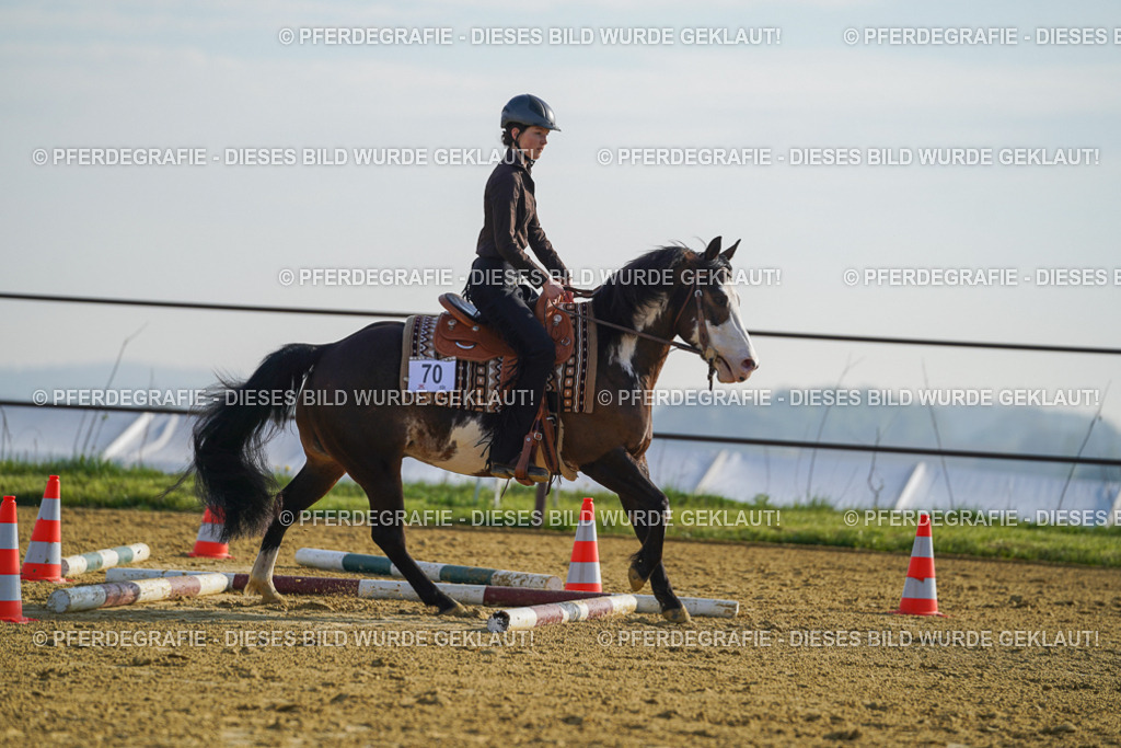 DSC00725 | Pferdegrafie