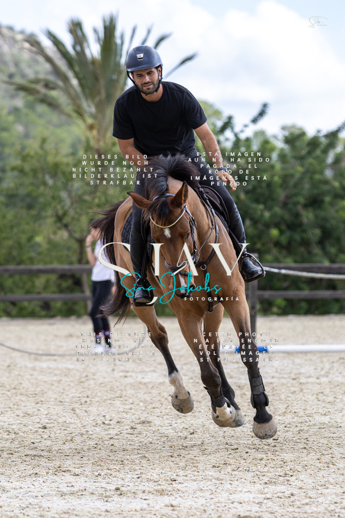 IMG_2851 | s-jay-photography - Realisiert mit Pictrs.com