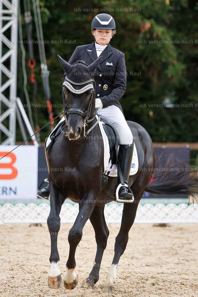 07-093-DRESSUR  S___  -StoibPH-5029 | working equitationturnier fotograf videograf stoibphotography marixx film working equitation deutschland reitsport turnierfotografie eventfotografie equestrian events