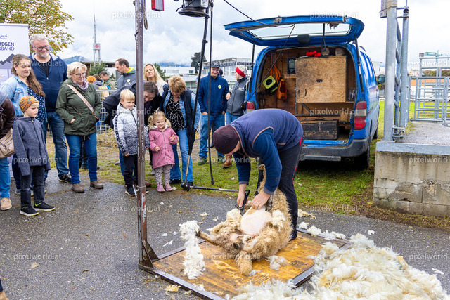 SchaZie-Tag Feldkirchen | Bildershop von pixelworld.at - Realisiert mit Pictrs.com