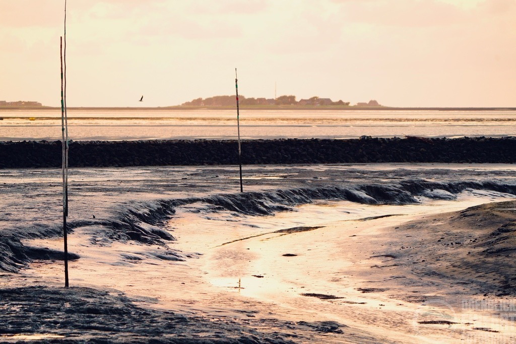 _M_D8722 | Björn Thiemann; Ogenblick.de; Fotografie; Photograph; Landscape, Pellworm, Schleswig-Holstein; Inselfotograf; Inselfotografien; Wattenmeer; National-Park; Naturschutzgebiet; Leuchtturm; Lighthouse; Leinwandbilder; Kalender; Pellworm Kalender;  - Realisiert mit Pictrs.com