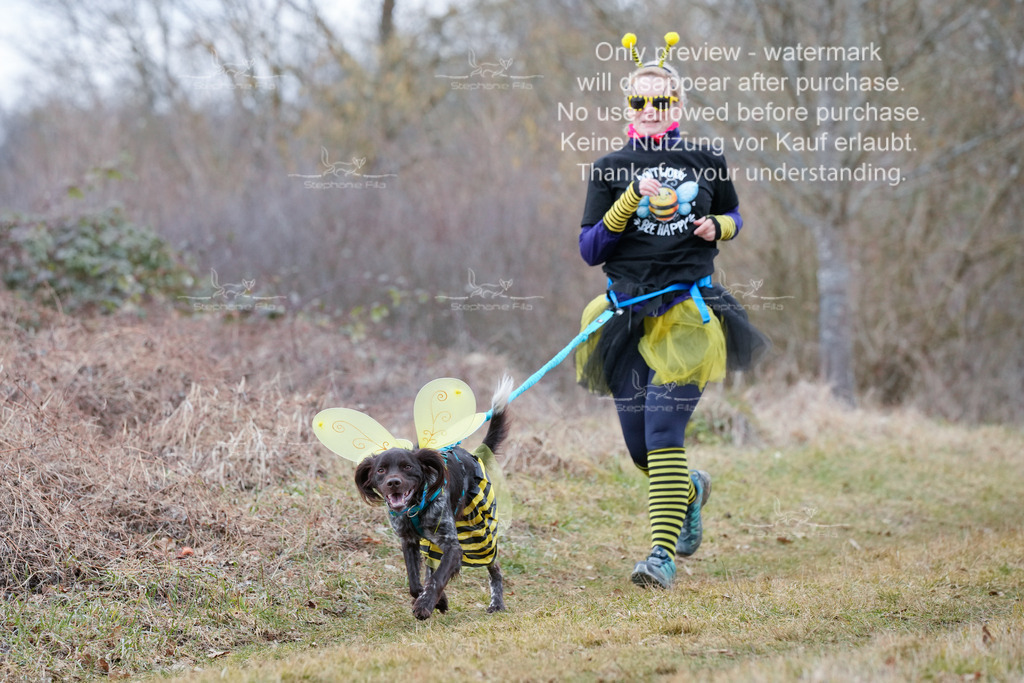 Fasching-17 | stephaniefillaphotographie - Realisiert mit Pictrs.com