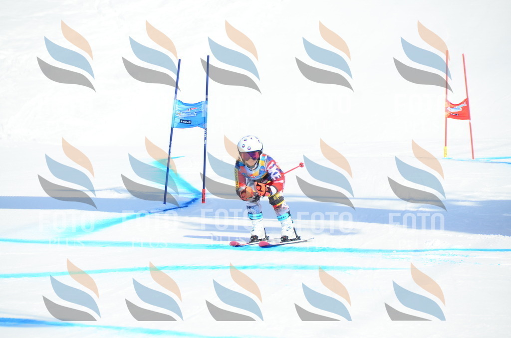 DSC_0369 | holidayphoto