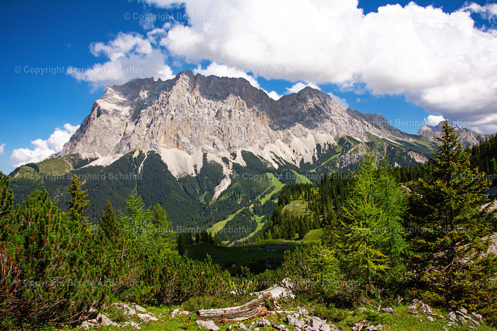 Zugspitzemassiv Austria | Blick von einem Aussichtspunkt auf das Tal mit den Skipisten und der Zugspitze im Sommer in Ehrwald in Österreich. - Realisiert mit Pictrs.com