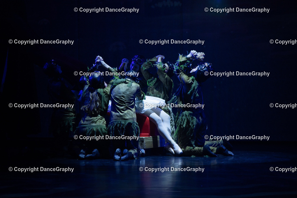 GPHY2295 | DanceGraphy - Realisiert mit Pictrs.com