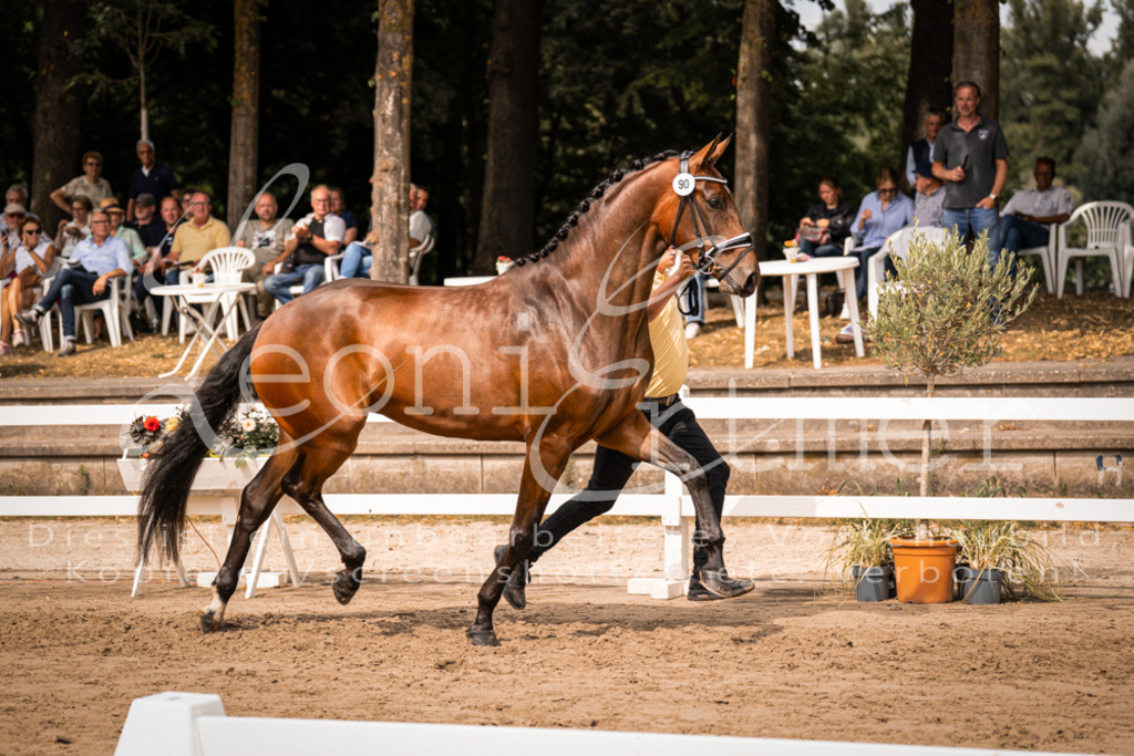 6.Fr00060 | Leoni Ertmer Photography - Realisiert mit Pictrs.com