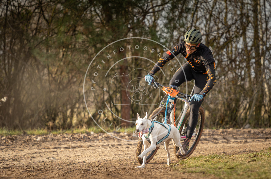 Pfotenfotografie_DV3A7264 | Hundefotografie, Tierfotograf, Pfotenfotografie, Fotoshooting Hund, Hunde Portrait, Hundesport, Hundeportraits, Heideshooting, Hunde, Sportfotograf, Hundefotograf, Turnierhundsport, THS,  - Realisiert mit Pictrs.com
