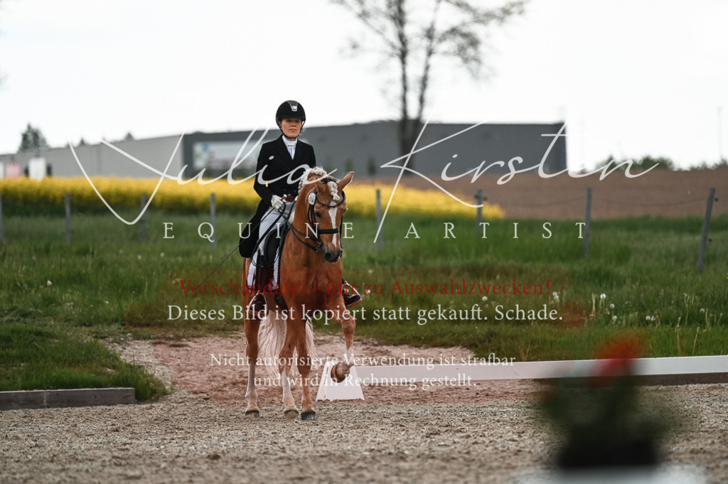 20230514_JK-Röhrsdorf-21-364 | Pferde- und Turnierfotografie in Westsachsen. Pferdeportraits, Auftragszeichnungen und intuitive Kunst.