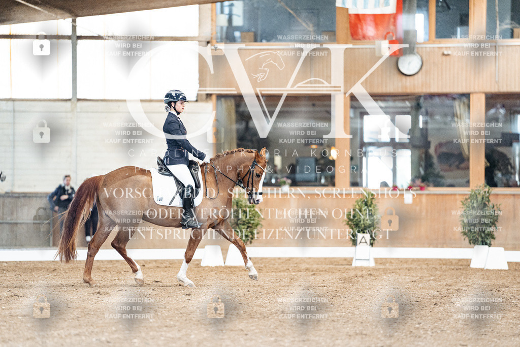 CK900808 | Turnierfotografie Pferdefotografie Trier Rheinland-Pfalz Pferdesport Reitsport Tierfotografie Sportfotografie Pferdevideo Pferdevideografie Equestrianvideography equestrianphotography  - Realisiert mit Pictrs.com