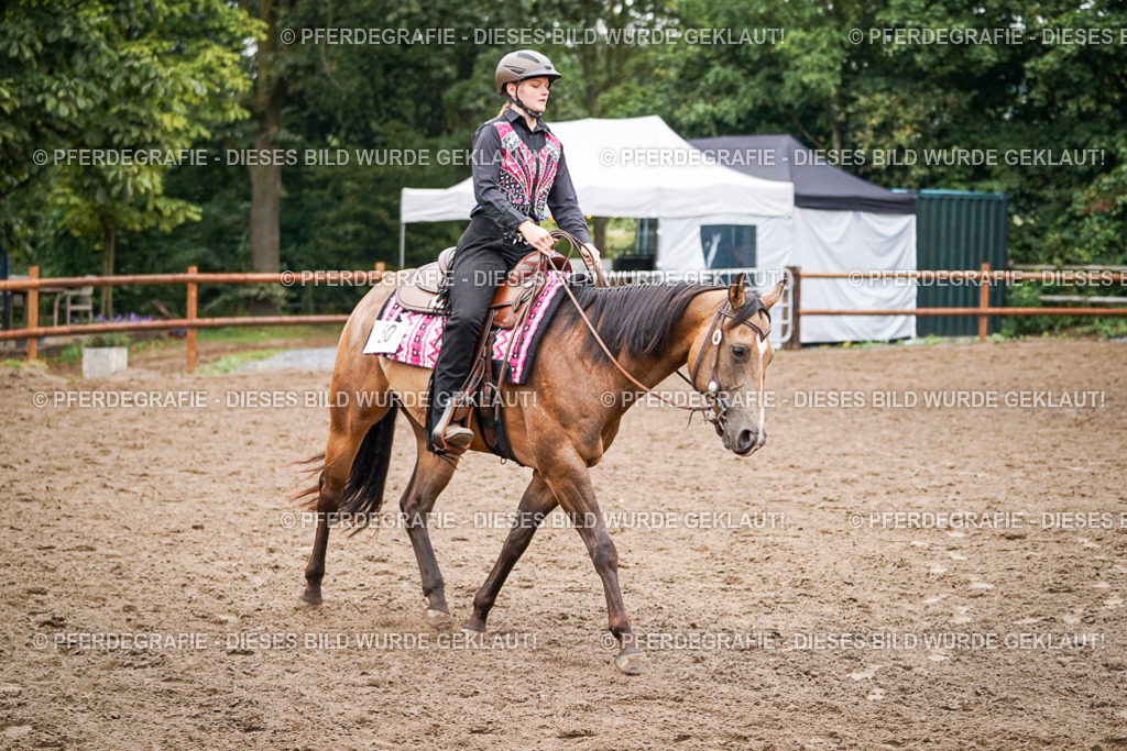 DSC02523 | Pferdegrafie