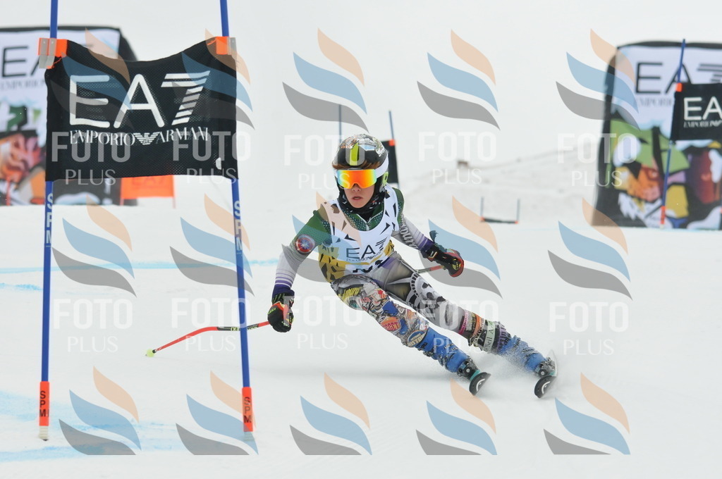 DSC_8459 | holidayphoto