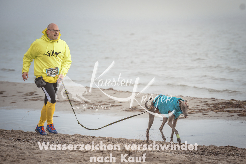 1134_ZZ99473 | kk-dogfotos