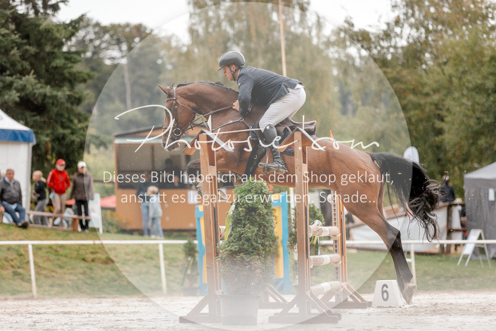 3I6A5746 | Stimmungsvolle Portraits und Reitsportfotografie im Ruhrgebiet und im Münsterland.

Pferdefotografie, Hundefotografie, Tierfotografie, Reportagen, Portraits von Tier und Mensch, Turnierfotografie in Bochum, Recklinghausen, Marl, Haltern am See, Dülmen.. - Realisiert mit Pictrs.com