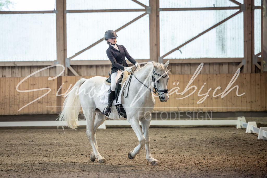 20251011-_3LI5798 | Tierfotografie Pferde, Hunde, Katzen, Haustiere.
Turnierfotografie Reitturniere, Reiten, Springreiten, Dressur in Hanau, dem Main-Kinzig-Kreis und dem Rhein-Main- Gebiet um Frankfurt