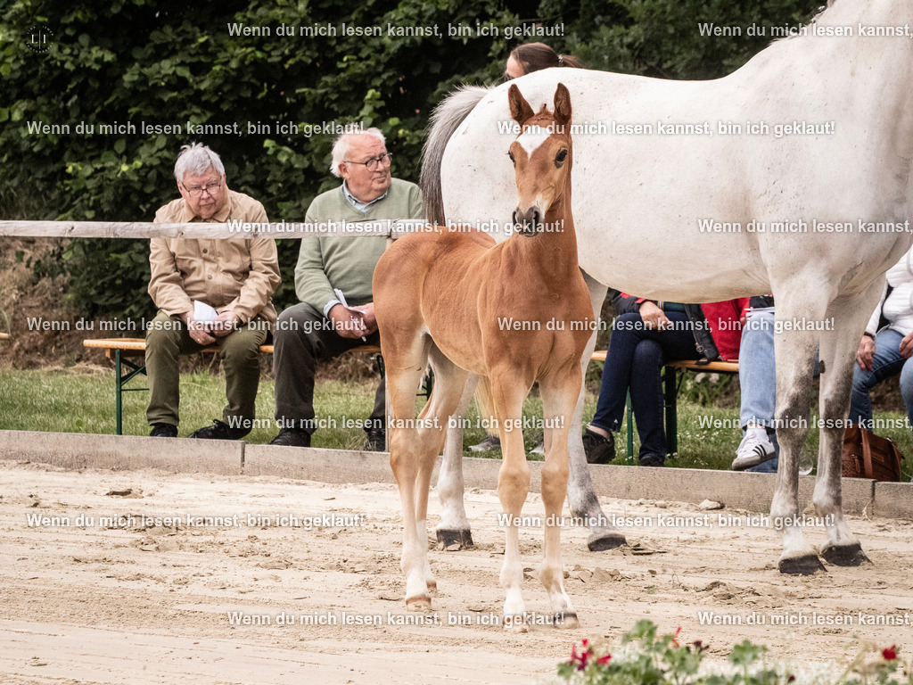 A10I9519 | photographylinaismer - Realisiert mit Pictrs.com