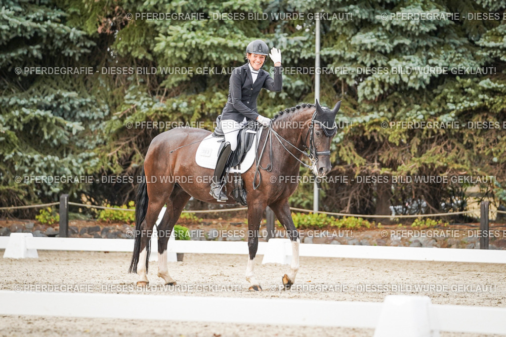 DSC09045 | Pferdegrafie