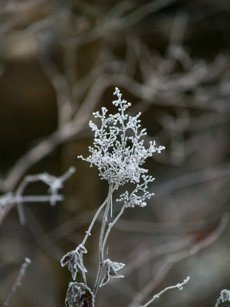 PSX_20221203_234701 | mtkfoto_ - Realisiert mit Pictrs.com