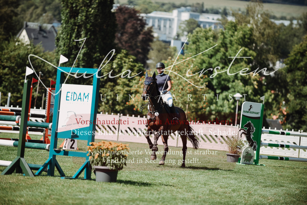 DSC_3274 | Pferde- und Turnierfotografie in Westsachsen. Pferdeportraits, Auftragszeichnungen und intuitive Kunst.