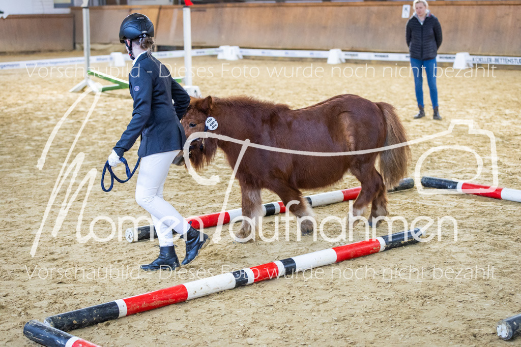 Sth-WBO25-Führ-WB-074 | MomenTaufnahmen Pferdesportfotos