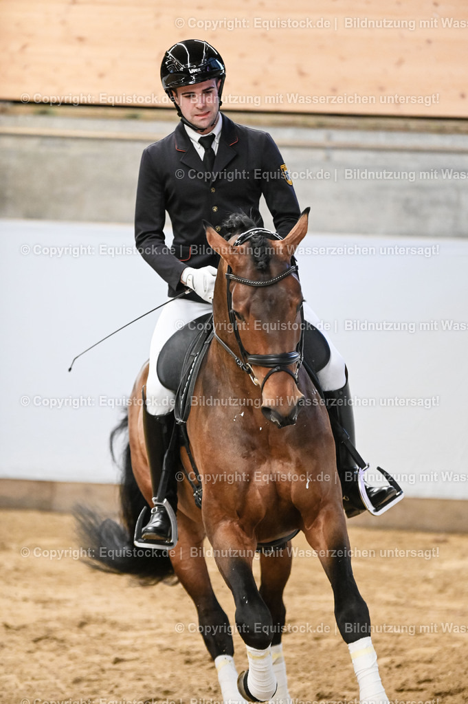 20260307_Hengstvorstellung-Marbach_0066 | equistock