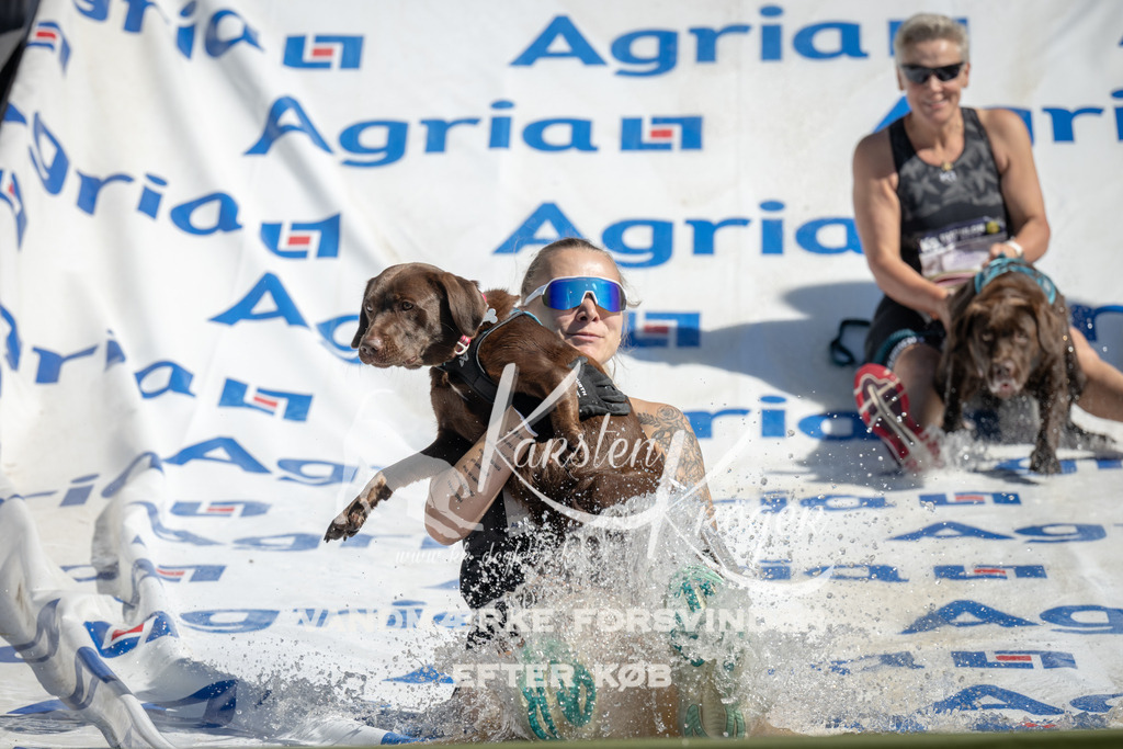 1142_ZZ93461 | kk-dogfotos