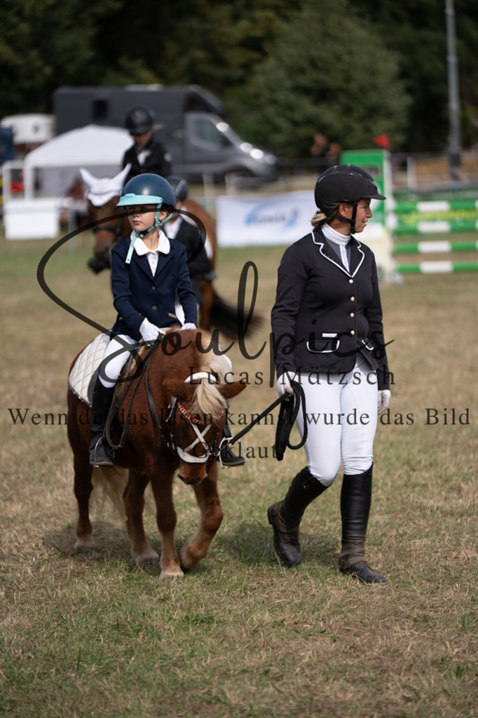 A7V08960 | Pferdefotograf