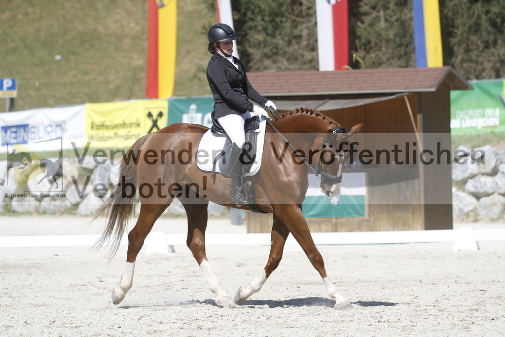 _MG_0278 | equestrian-live-com
