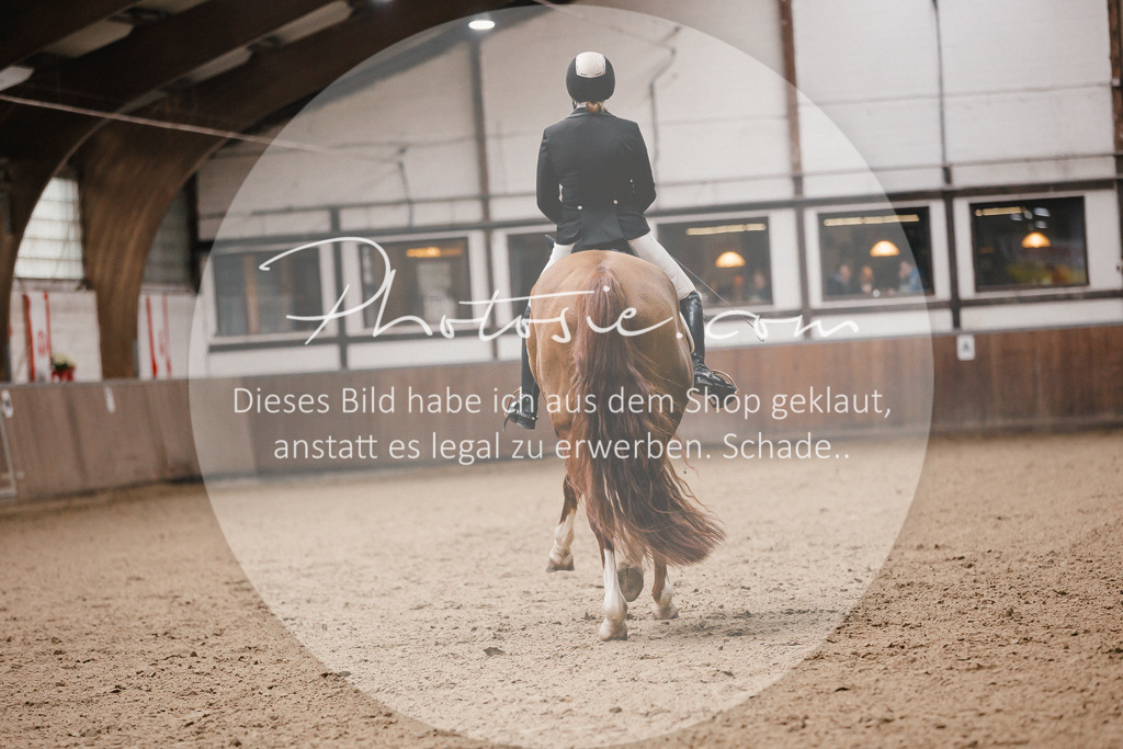 3I6A8931 | Stimmungsvolle Portraits und Reitsportfotografie im Ruhrgebiet und im Münsterland.

Pferdefotografie, Hundefotografie, Tierfotografie, Reportagen, Portraits von Tier und Mensch, Turnierfotografie in Bochum, Recklinghausen, Marl, Haltern am See, Dülmen.. - Realisiert mit Pictrs.com