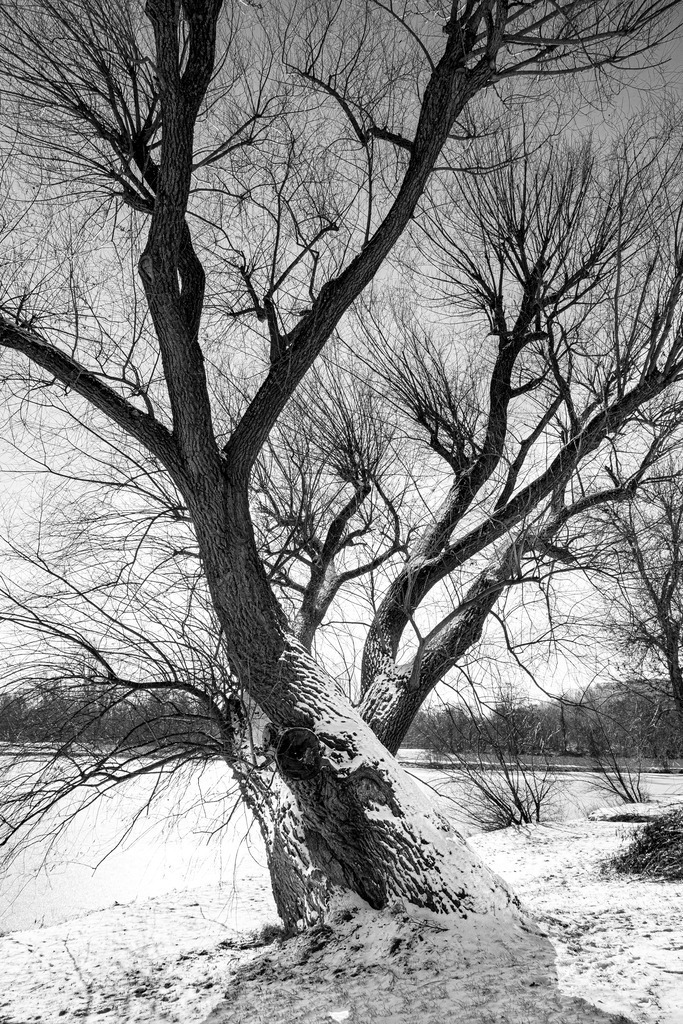 _ 3382_WINTER26_8316 | WInteraufnahmen Loosdorf 2026