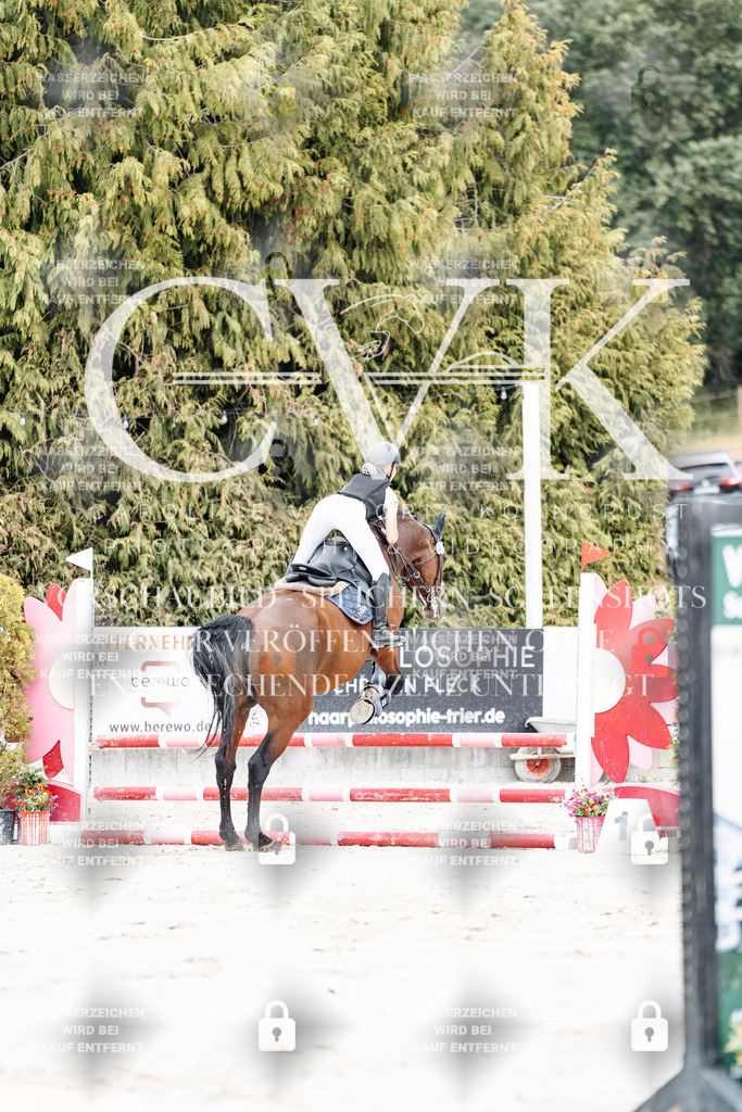 CK907981 | Turnierfotografie Pferdefotografie Trier Rheinland-Pfalz Pferdesport Reitsport Tierfotografie Sportfotografie Pferdevideo Pferdevideografie Equestrianvideography equestrianphotography  - Realisiert mit Pictrs.com