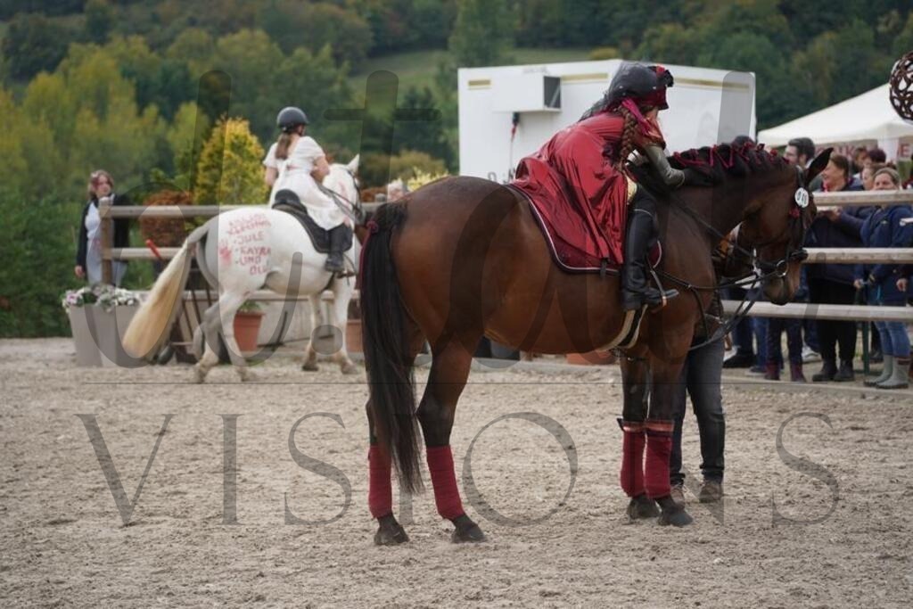 pfmagarethenhof (939) | d.tail Visions - Shop - Realisiert mit Pictrs.com