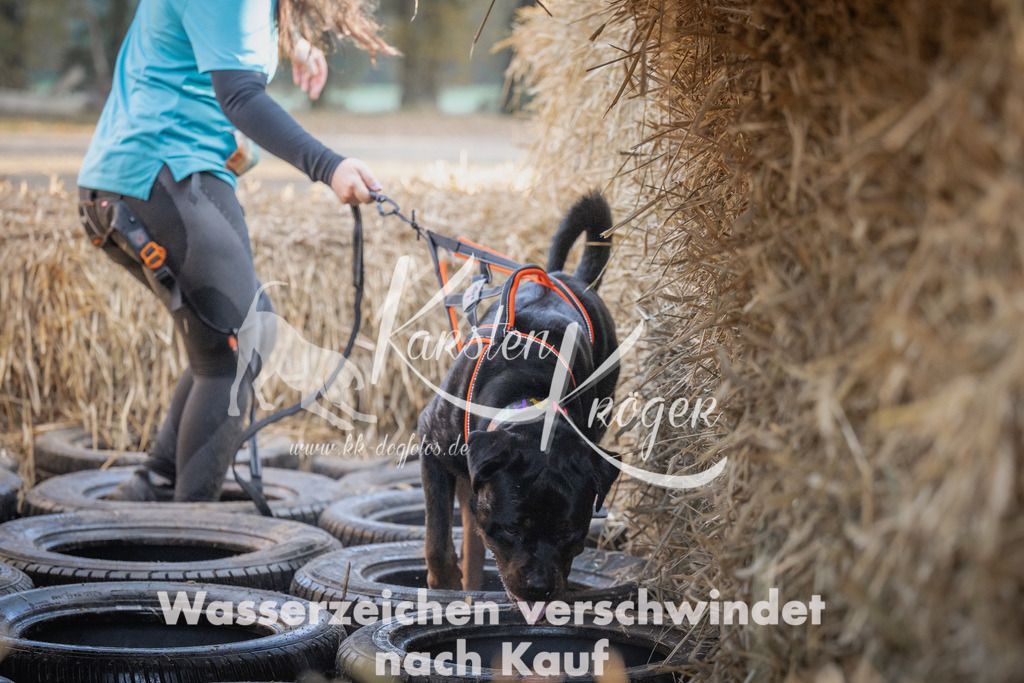 0949_ZZ94956 | kk-dogfotos