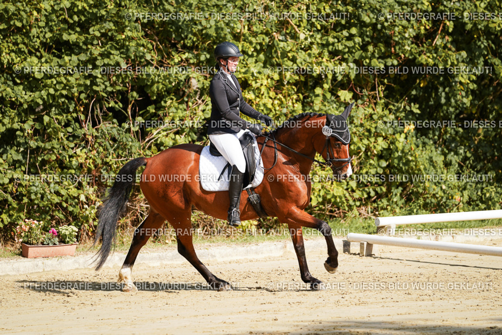 DSC08343 | Pferdegrafie