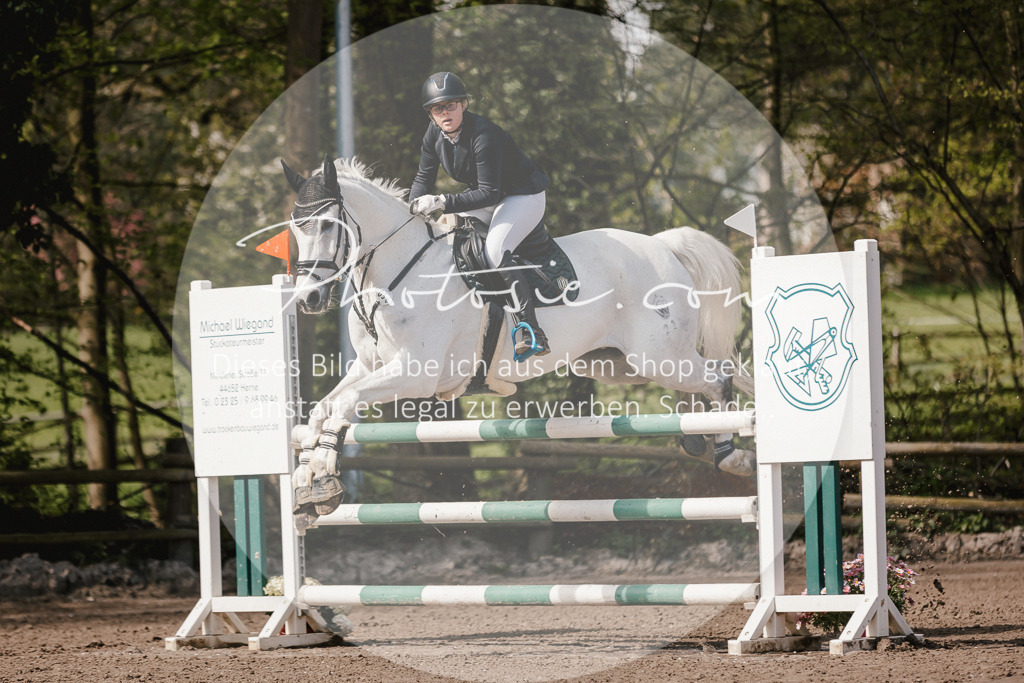3I6A4129 | Stimmungsvolle Portraits und Reitsportfotografie im Ruhrgebiet und im Münsterland.

Pferdefotografie, Hundefotografie, Tierfotografie, Reportagen, Portraits von Tier und Mensch, Turnierfotografie in Bochum, Recklinghausen, Marl, Haltern am See, Dülmen.. - Realisiert mit Pictrs.com