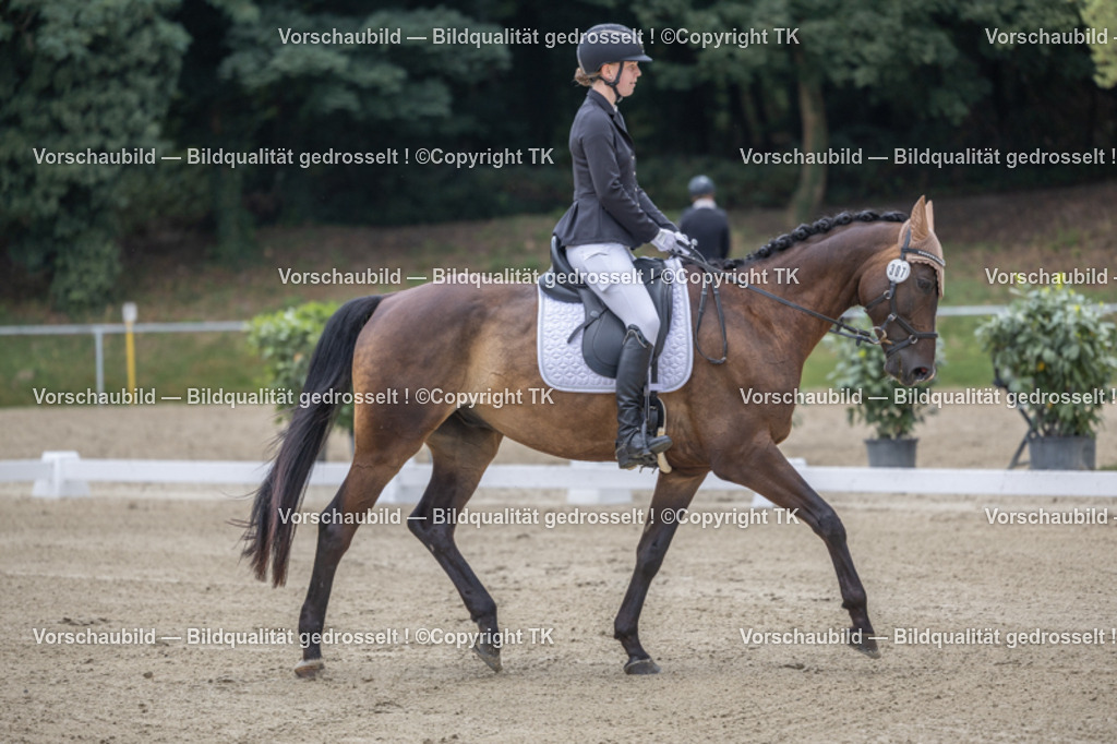 _D5A2104 | Emotionale Pferde- & People-Fotografie rund um Heidelberg, Leimen & Umgebung. Natürliche Fotos von Pferd, Mensch & Familie. Jetzt Termin sichern!