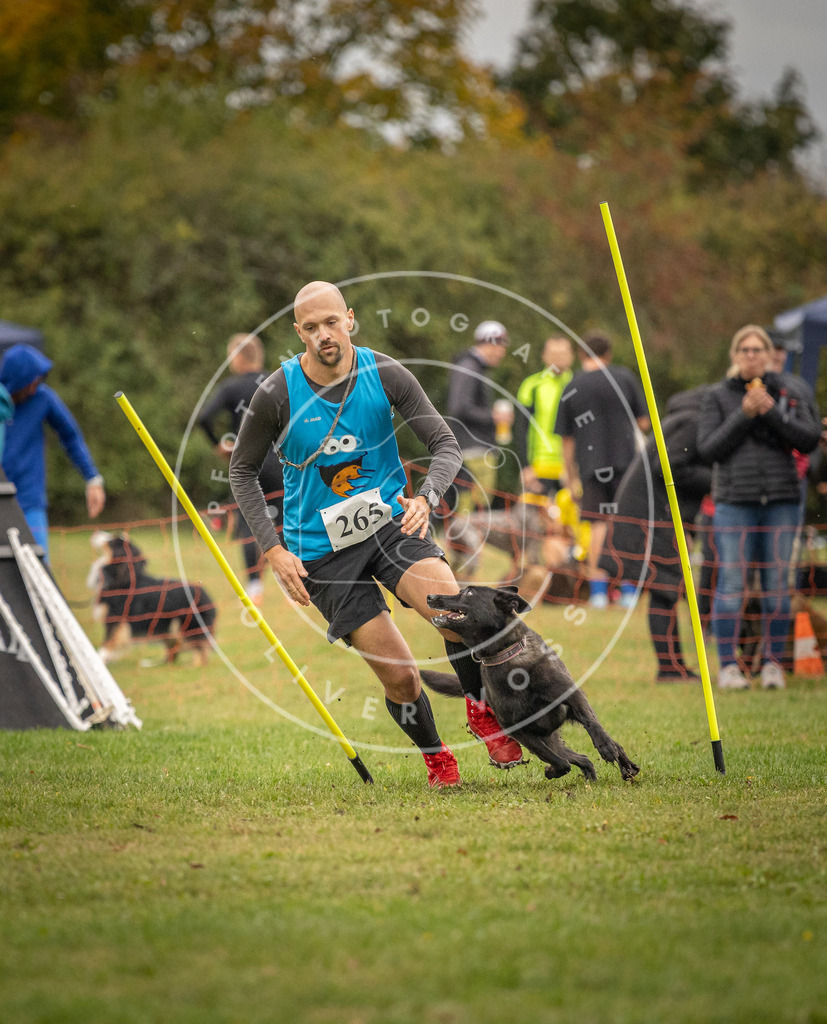 Pfotenfotografie_DV3A7423 | Hundefotografie, Tierfotograf, Pfotenfotografie, Fotoshooting Hund, Hunde Portrait, Hundesport, Hundeportraits, Heideshooting, Hunde, Sportfotograf, Hundefotograf, Turnierhundsport, THS,  - Realisiert mit Pictrs.com