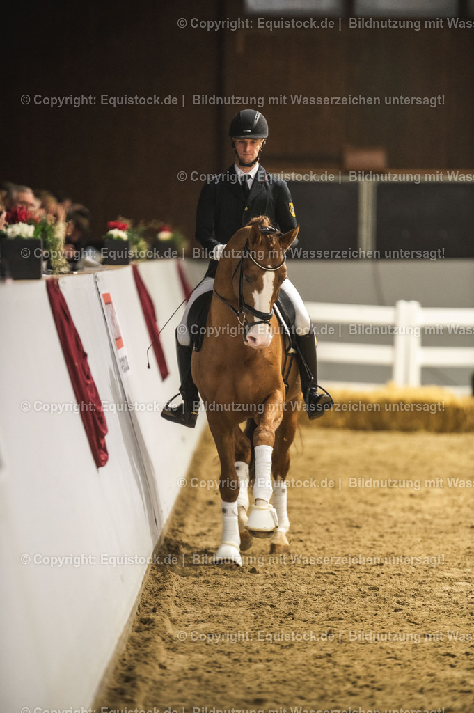 20240302_Hengstvorstellung_Marbach_TOMsPiC_0515-2 | equistock