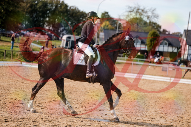 2026_10_03_Siefer-Hof_132348_Z63_85830839 | Professionelle Reitsport-, Turnier- und Eventfotografie von Robert Broda. Galerien mit ausgewählten und bearbeiteten Bildern direkt online ansehen und bestellen.