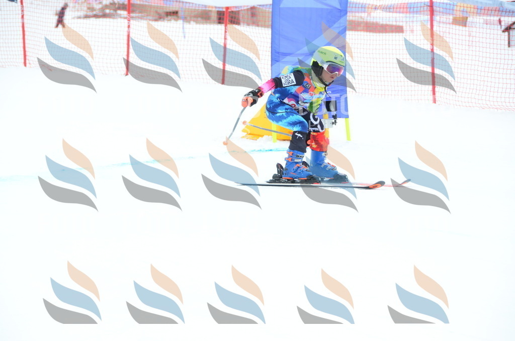 DSC_1904 | holidayphoto