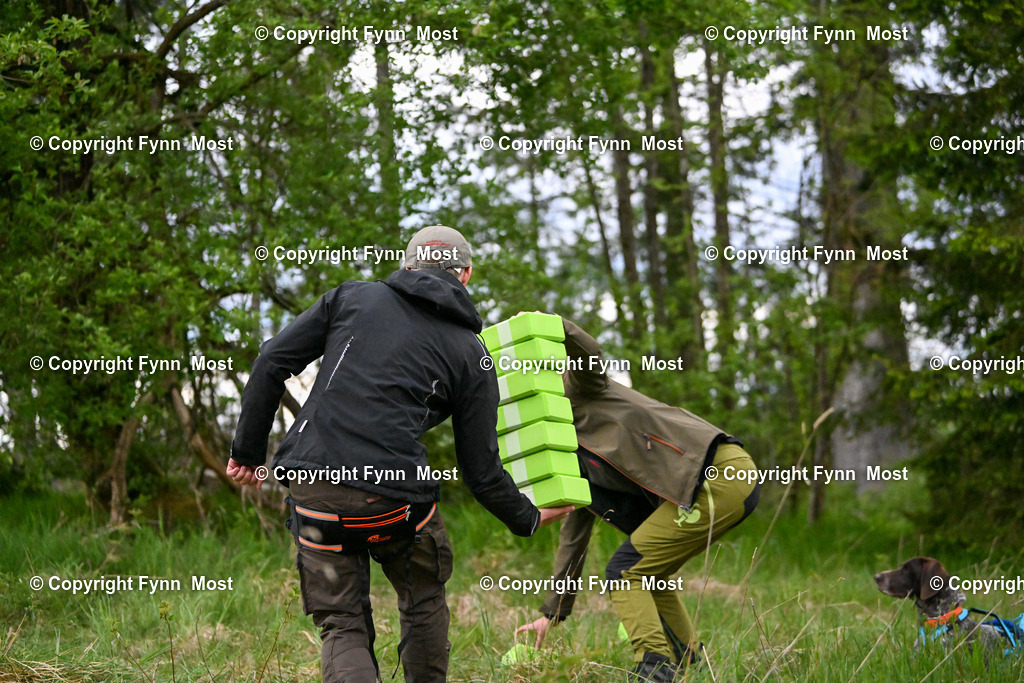 DSC_7130 | Hallo und herzlich Willkommen auf meiner Shop-Seite Fynn Most.

Ich wünsche Dir viel Spaß beim stöbern durch die Bilder, wenn Du Fragen hast oder Bilder vermisst, kannst du mir gerne eine Nachricht schreiben. - Realisiert mit Pictrs.com