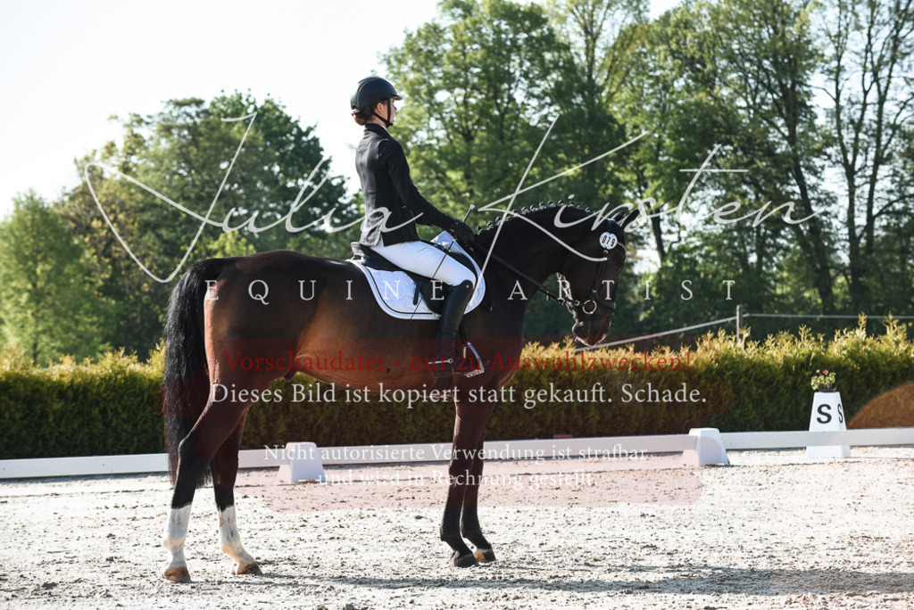 20230518_JK-Röhrsdorf-09-0549 | Pferde- und Turnierfotografie in Westsachsen. Pferdeportraits, Auftragszeichnungen und intuitive Kunst.
