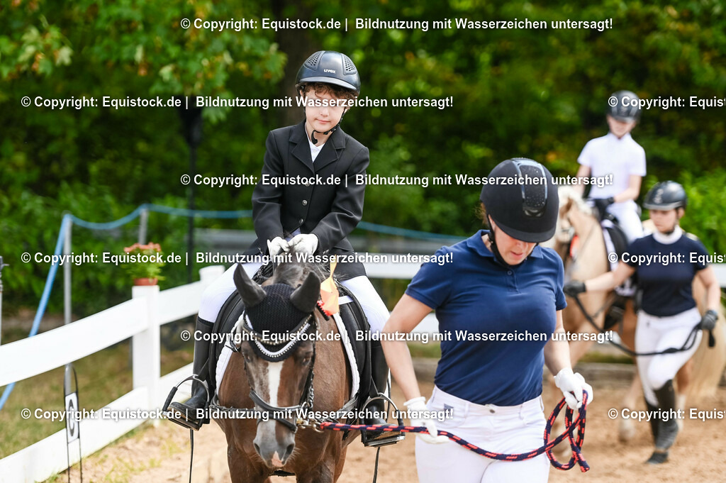 20230716_11_Führzügel-WB_0127 | equistock